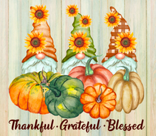 Load image into Gallery viewer, Thankful Grateful Blessed Gnome 20oz Insulated Tall Tumbler with Straw